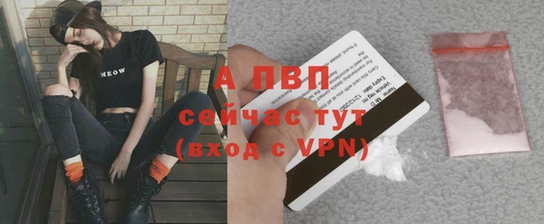 ГАЛЛЮЦИНОГЕННЫЕ ГРИБЫ Гусь-Хрустальный