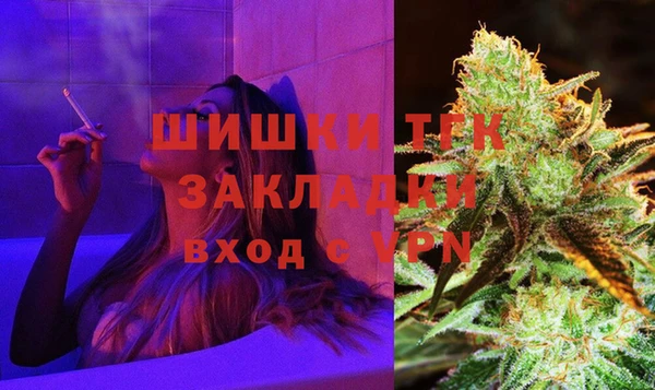 сатива Гусев