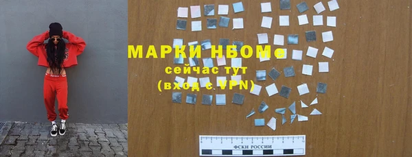 ГАЛЛЮЦИНОГЕННЫЕ ГРИБЫ Гусь-Хрустальный