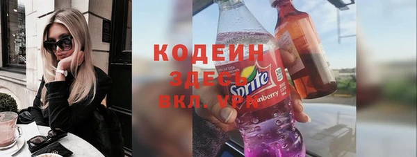 ГАЛЛЮЦИНОГЕННЫЕ ГРИБЫ Гусь-Хрустальный
