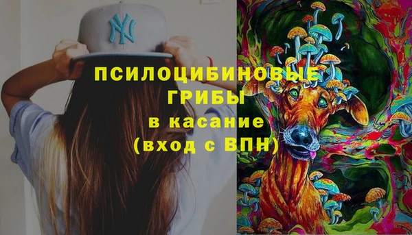 ГАЛЛЮЦИНОГЕННЫЕ ГРИБЫ Гусь-Хрустальный