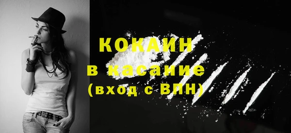 ГАЛЛЮЦИНОГЕННЫЕ ГРИБЫ Гусь-Хрустальный