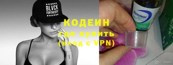 сатива Гусев