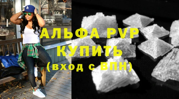 сатива Гусев