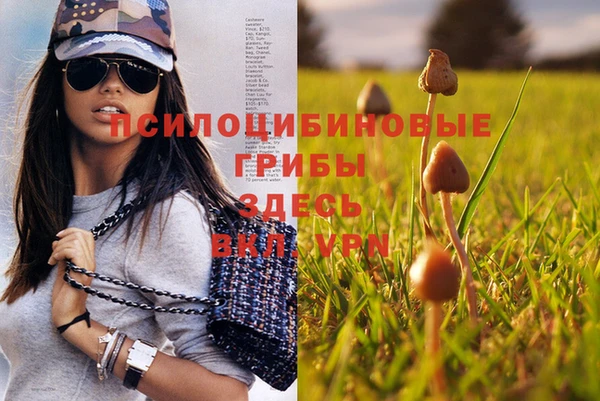 сатива Гусев