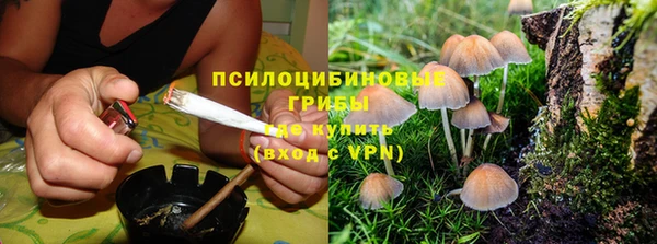 ГАЛЛЮЦИНОГЕННЫЕ ГРИБЫ Гусь-Хрустальный