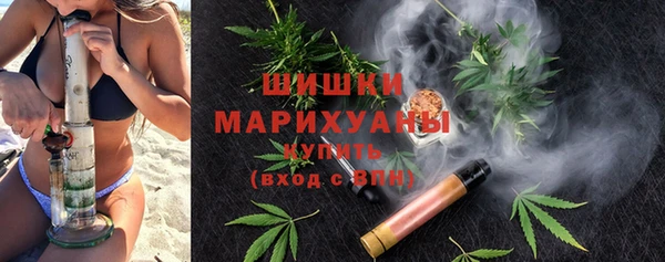 сатива Гусев