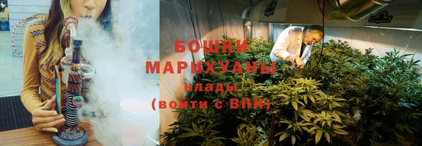 ГАЛЛЮЦИНОГЕННЫЕ ГРИБЫ Гусь-Хрустальный