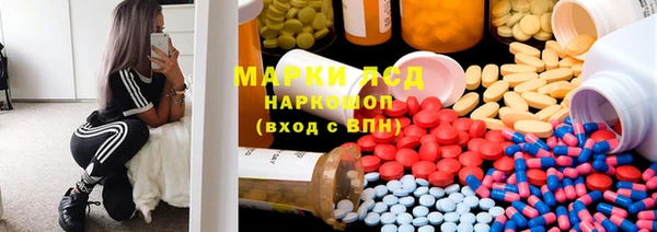сатива Гусев